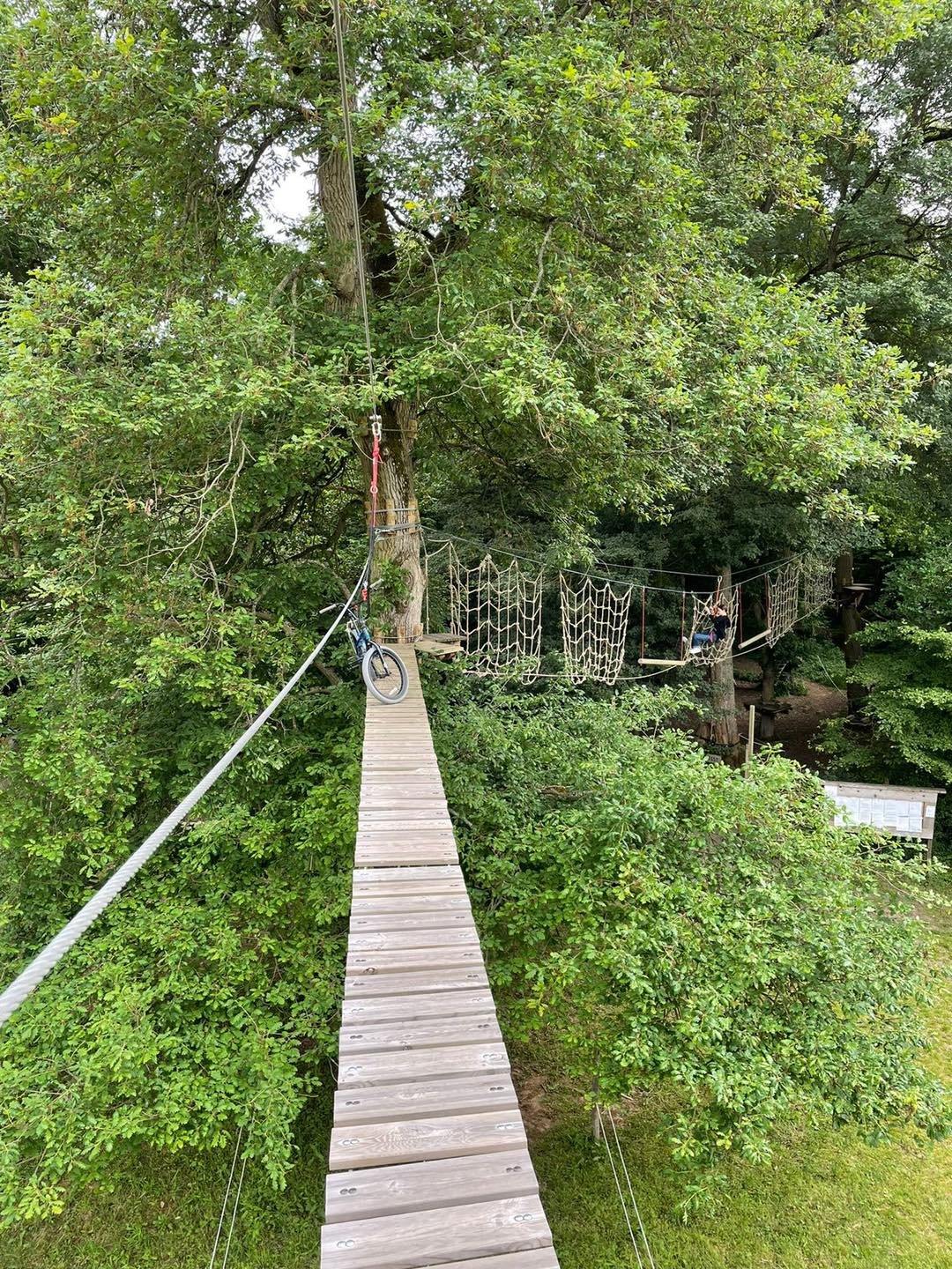 Passerelle en bois suspendue dans les arbres du parcours accrobranche LutinoPark